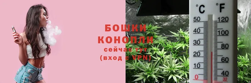 Марихуана SATIVA & INDICA  даркнет сайт  Берёзовка 